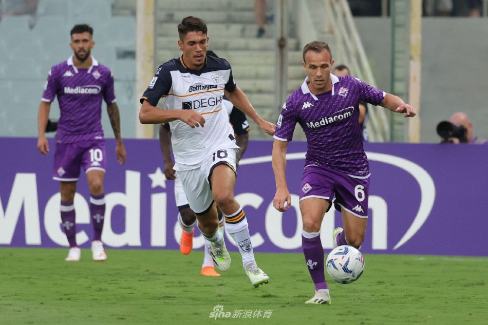 上展现了极 上展现了极